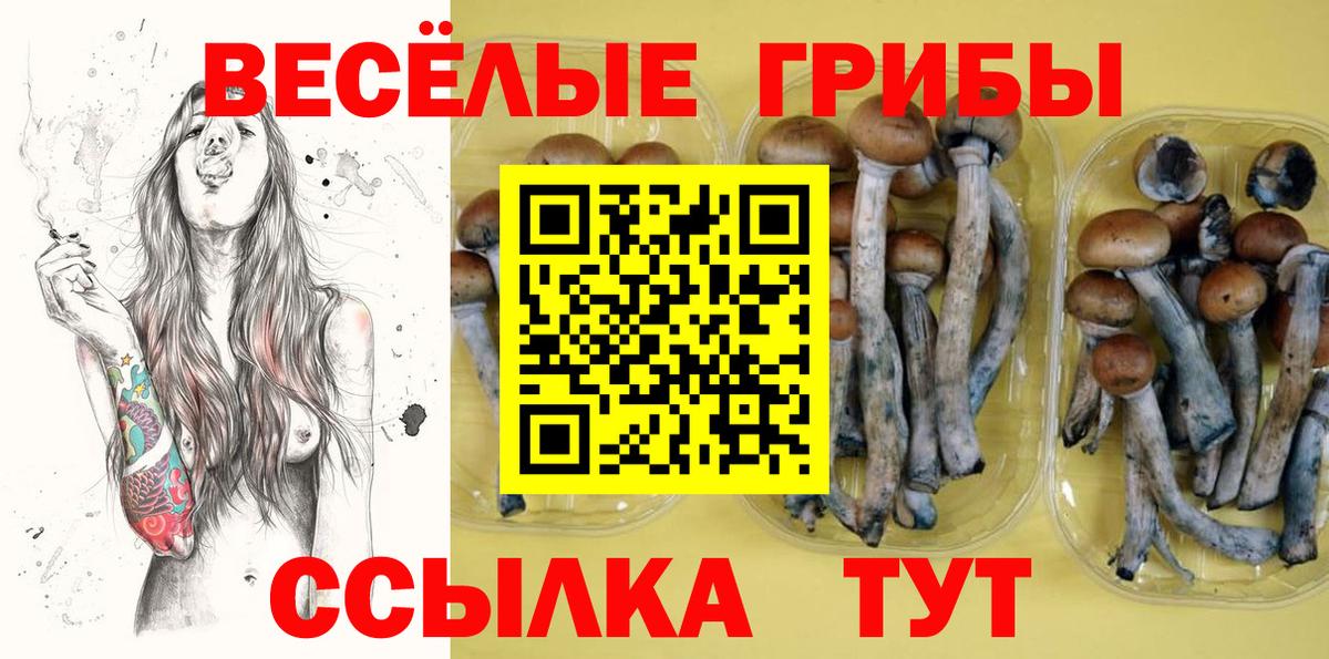 Галлюциногенные грибы мицелий Качканар
